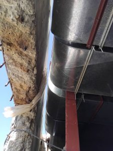 WhatsApp Image 2025-06-07 at 4.49.38 PM