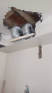 WhatsApp Image 2025-07-03 at 2.52.56 PM