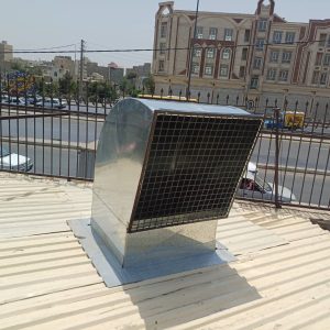 WhatsApp Image 2025-07-03 at 2.52.56 PM